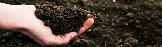 Boost Your Soil's Microbes: 6 Effective Methods for Increasing Beneficial Microorganisms