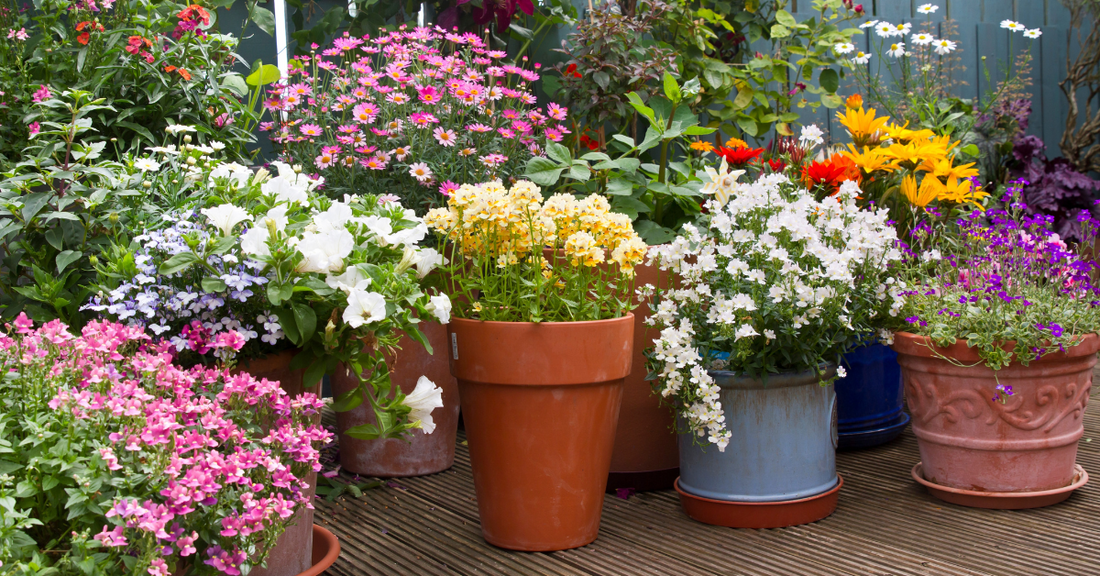 container gardening