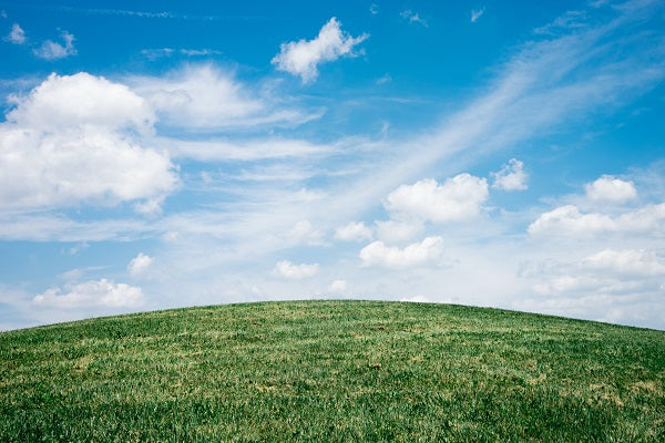 green lawn and blue sky