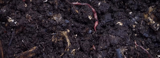 soil-conditioner