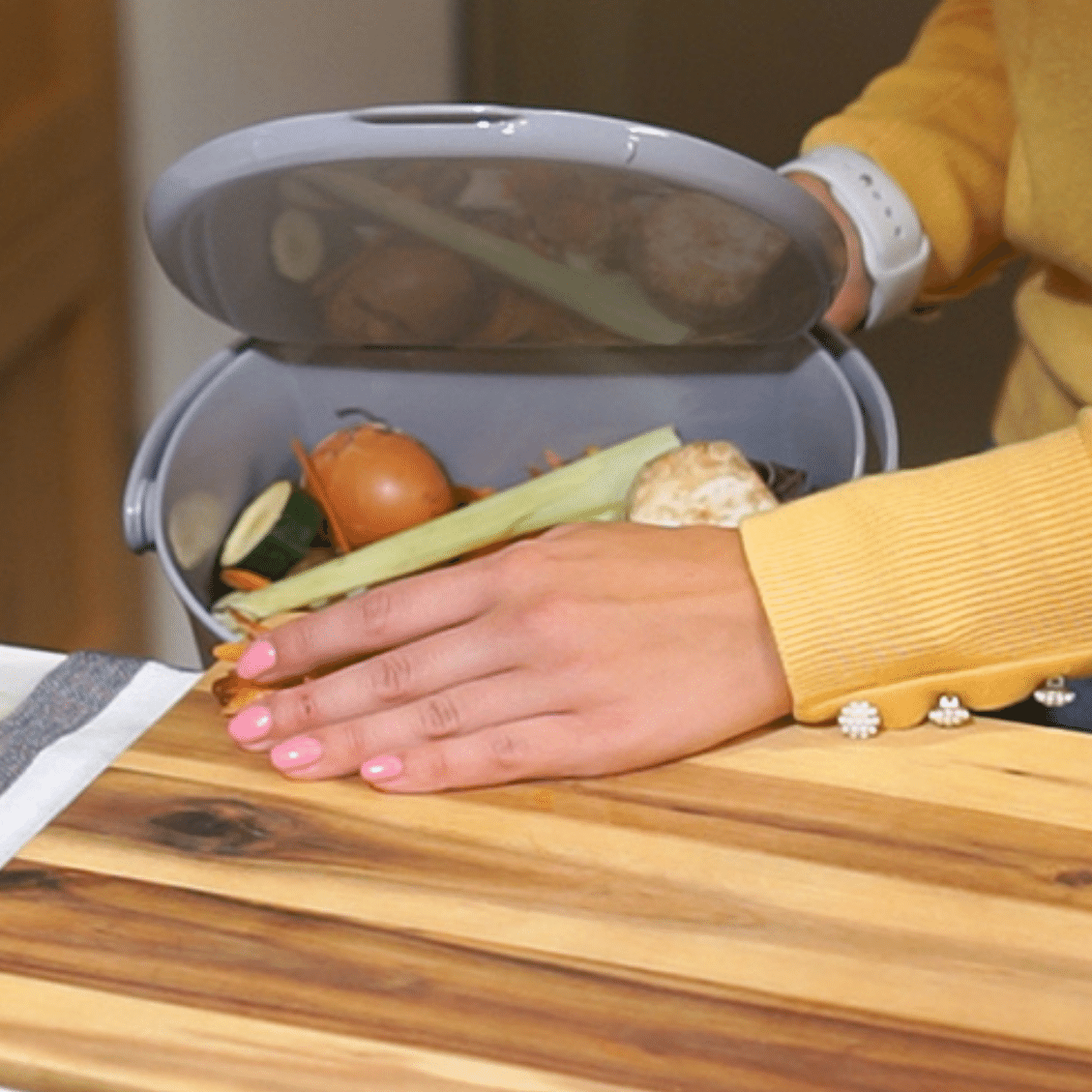 TeraGanix Compost Bin Daily Kitchen Compost Caddy